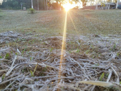 MS tem geada e sensação térmica abaixo de 0 grau