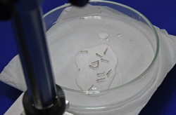 MS registra 9.864 casos confirmados de dengue em 2024