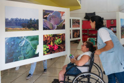 Dourados inicia formação para a mostra Retratos da Terra