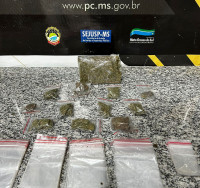 Vídeo: dois são presos por despachar droga pelos Correios