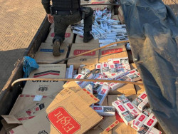 DOF apreende caminhão com carga de cigarro paraguaio