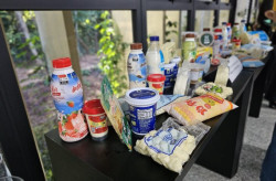 Governo de MS elabora plano para fomentar a pecuária leiteira