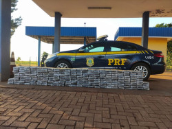 PRF apreende 246 kg de cocaína em reboque usado para transportar cavalo