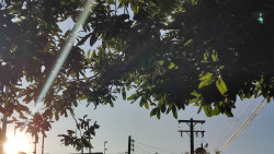 Sexta-feira tem tempo firme com sol e baixa umidade do ar em MS