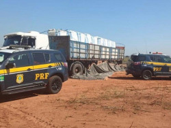 PRF apreende 183 quilos de cocaína e 90 de maconha em MS