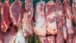Exportações de carne bovina atingem 211,9 mil t em maio/24