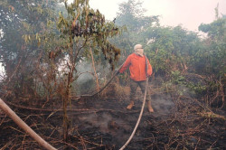 Brigada combate fogo que se aproxima de escola no Pantanal