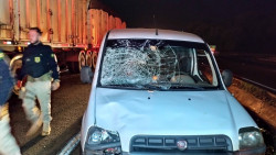 Açougueiro morre dois dias após ser atropelado na BR-163 em Dourados