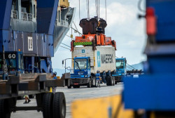 Exportações de carne de frango do Brasil crescem 4,2% em maio