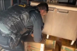 Polícia apreende 1,6 tonelada de maconha em caminhão de mudança