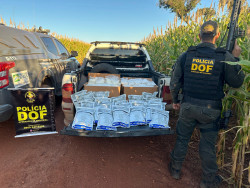 DOF apreende agrotóxico contrabandeado avaliado em R$ 105 mil