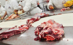 Justiça do Trabalho mantém justa causa de trabalhador acusado furtar carne