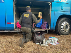 Passageira de ônibus é presa levando haxixe marroquino para o Espírito Sant