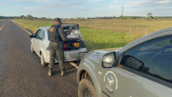 Foragido é preso com 700 quilos de maconha em rodovia da fronteira