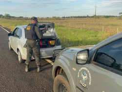 Foragido é preso com 700 quilos de maconha em rodovia da fronteira