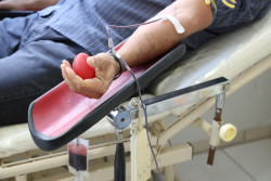 Câmara e Associação de Surdos e Intérpretes doam sangue no Hemosul