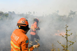 Bombeiros resgatam homem que tentava apagar incêndios no Pantanal de MS