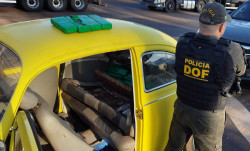 Fusca amarelo é apreendido com 91 quilos de maconha na BR-487