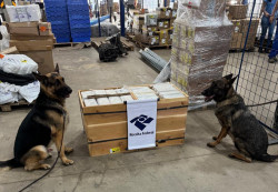Com ajuda de cães de faro, Receita apreende 17 quilos de cocaína