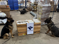 Com ajuda de cães de faro, Receita apreende 17 quilos de cocaína