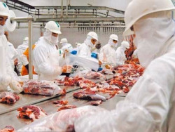 Indústria de alimentos é a que mais emprega no Brasil