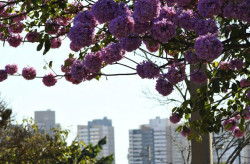Julho começa com frio em MS e temperatura sobe ao longo da semana