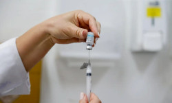 Em seis meses, Brasil tem 6,1 milhões de casos de dengue e 4,2 mil mortes