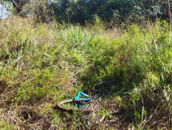 Mulher perde no “Jogo do Tigrinho” e mente ter sido estuprada e assaltada