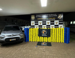 Jovem foge de policiais, mas é preso com 580 quilos de maconha em C3