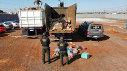 Veja o vídeo: DOF apreende 8,1 toneladas de maconha em carga de papelão