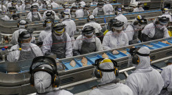 Produção industrial cai 0,9% em maio, diz IBGE