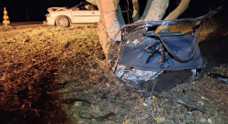 Mulher e menina de 9 anos morrem após Corsa bater em árvore na margem de estrada