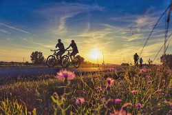 Aprovado PL que promove a conscientização e a proteção do ciclista