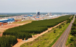 Exportações de soja e celulose de MS superam 5 bilhões de dólares no ano