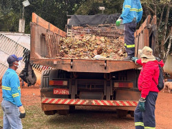 Polícia coordena mutirão de limpeza na ONG de irmãs presas por maus-tratos