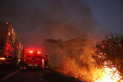 Trabalho de bombeiros e parceiros reduz focos de incêndios no Pantanal