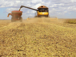 Brasil deve produzir 299 milhões de toneladas de grãos na safra 2023/2024