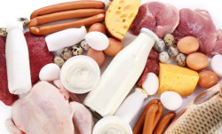 Câmara dos deputados aprova regulamentação da reforma tributária