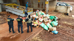 Com apoio do Exército e Força Nacional, PF incinera 12 toneladas de drogas