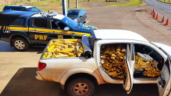Em caminhonete furtada PRF apreende 1130 quilos de maconha