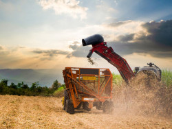 Exportações do agro brasileiro atingem US$ 82,39 bi no semestre