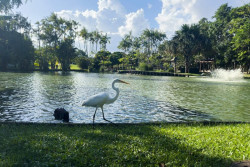 Mundo tem de investir US$ 4 trilhões até 2030 para cumprir metas do clima