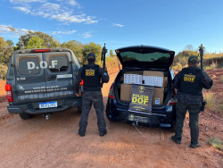 DOF apreende Sandero com 750 pacotes de cigarro contrabandeado