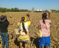 Indígenas e produtores ficam frente a frente em área de conflito