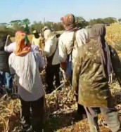 Pré-candidatos a vereador lideram invasão de terra em Douradina