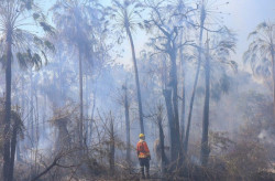 Combate a incêndios no Pantanal tem reforço de bombeiros do PR e GO
