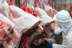 Produção recorde de carne bovina garante exportações abastecimento interno