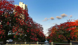 Primeiro fim de semana de junho será de tempo firme e seco