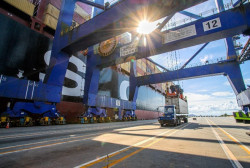 Exportação de carne bovina atinge novo recorde em julho de 2024