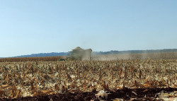 Segunda safra 2023/2024 tem terceira pior produtividade em dez anos